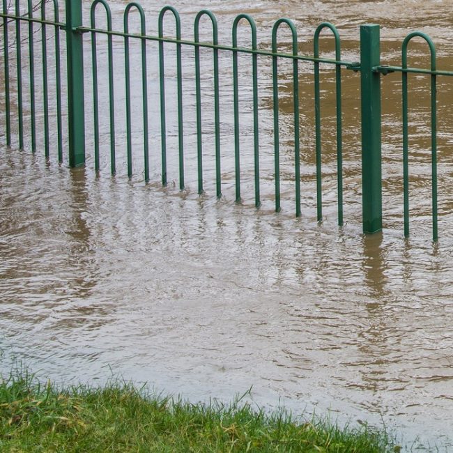 Vand i kælder efter regn – årsager, løsninger og rådgivning